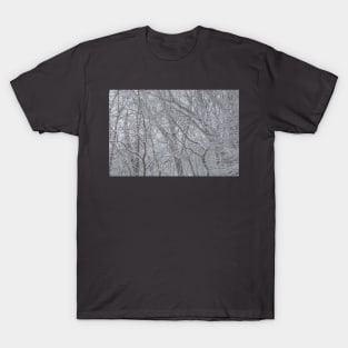 Snow Squirrel T-Shirt